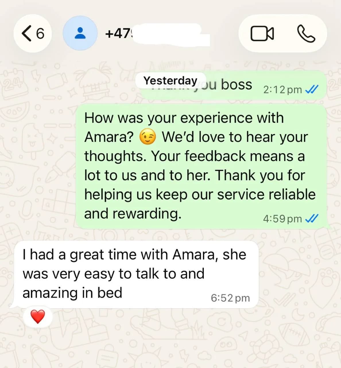 Amara AME review screenshot proof 1