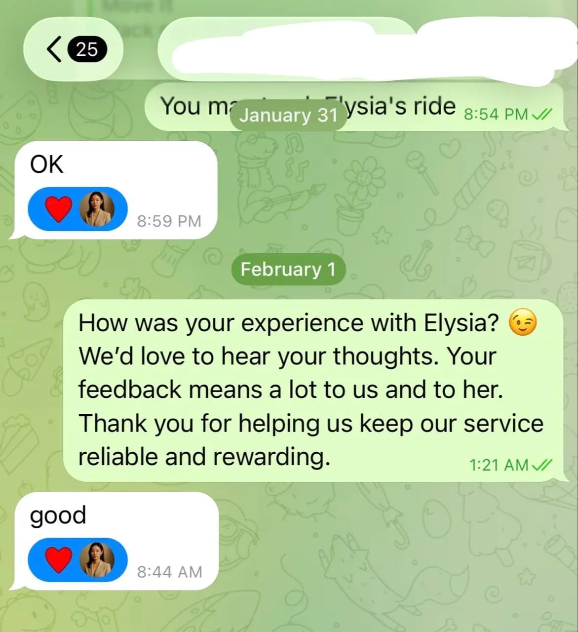 Elysia AME review screenshot proof 1