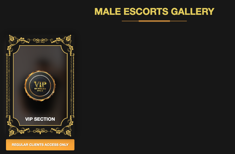 Manila Asian Escorts male escorts gallery showing only a VIP Section card with Regular Clients Access Only button and no public male escort profiles visible