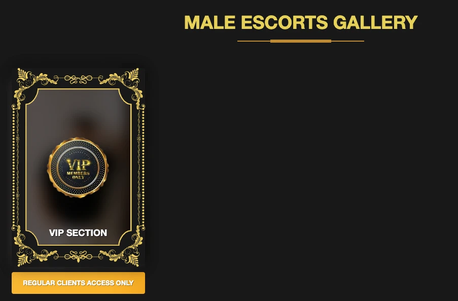 Manila Asian Escorts male escorts gallery showing only a VIP Section card with Regular Clients Access Only button and no public male escort profiles visible